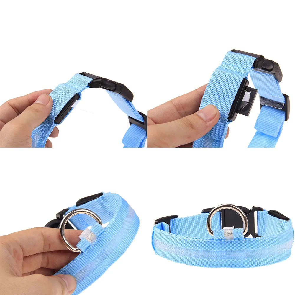 LED Adjustable Waterproof Safety Dog Collar with Blinking Glow Light