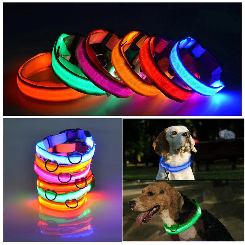 LED Adjustable Waterproof Safety Dog Collar with Blinking Glow Light