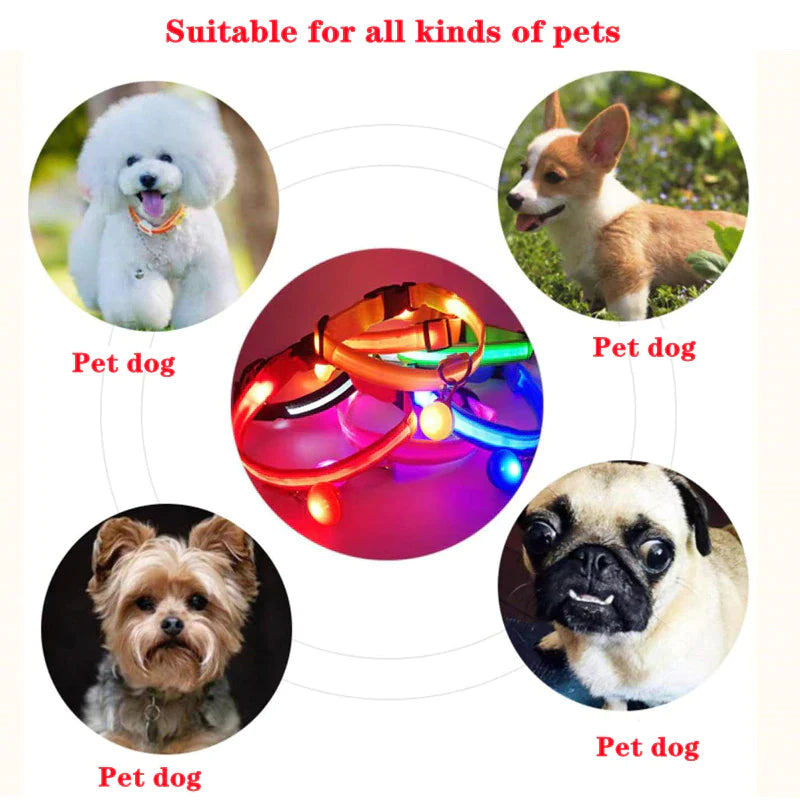LED Adjustable Waterproof Safety Dog Collar with Blinking Glow Light