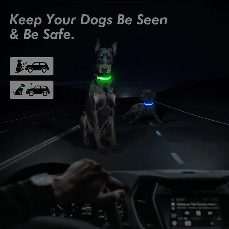LED Adjustable Waterproof Safety Dog Collar with Blinking Glow Light