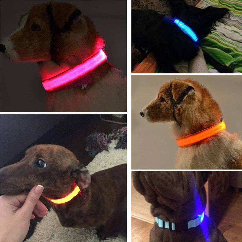 LED Adjustable Waterproof Safety Dog Collar with Blinking Glow Light