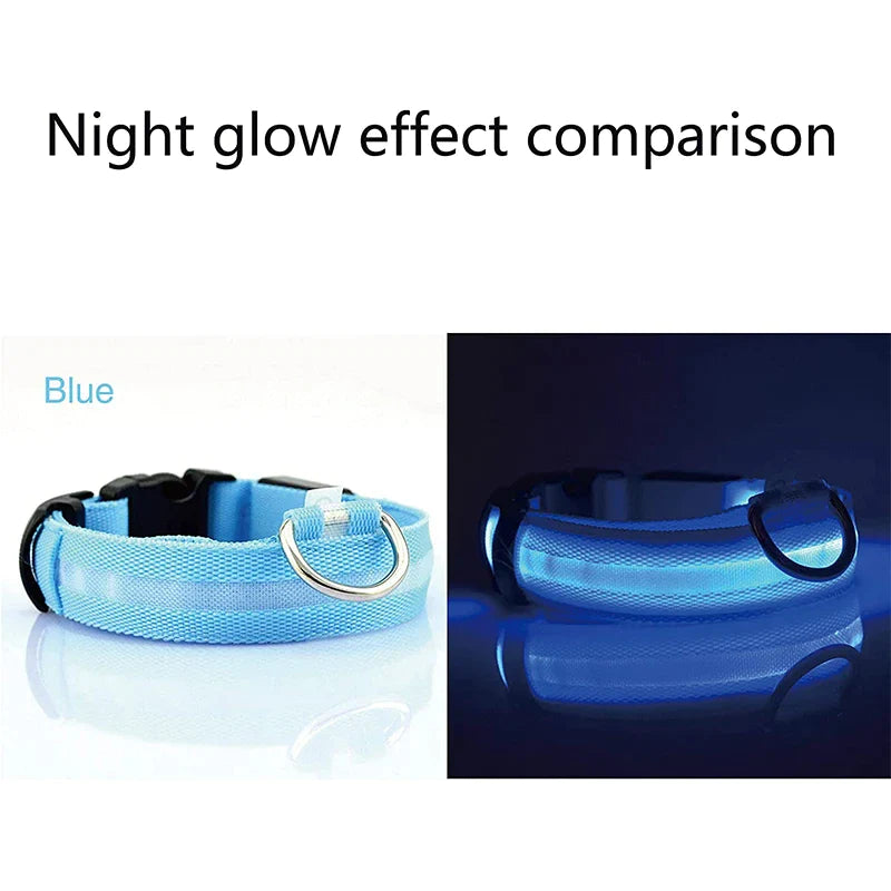 LED Adjustable Waterproof Safety Dog Collar with Blinking Glow Light