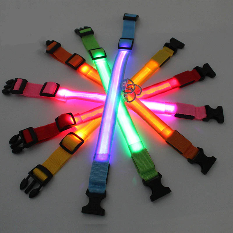 LED Adjustable Waterproof Safety Dog Collar with Blinking Glow Light