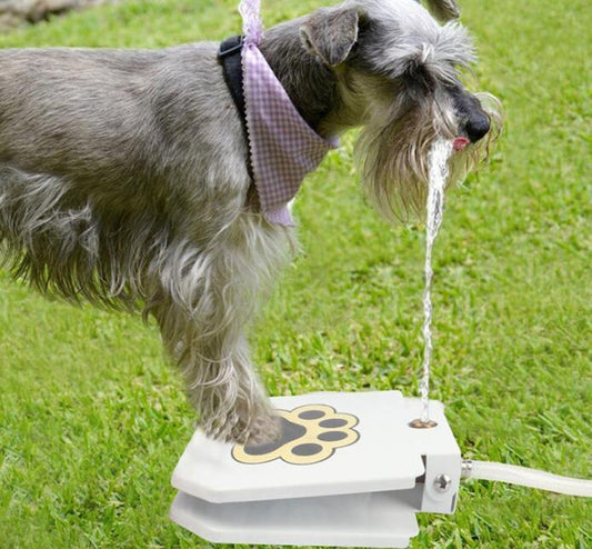 petsrunwild.store