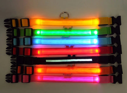 LED Adjustable Waterproof Safety Dog Collar with Blinking Glow Light