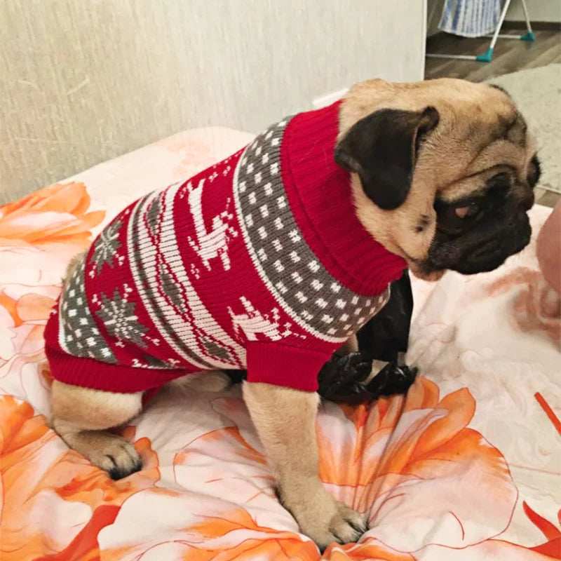 Warm Dog Clothes for Small Medium Dogs Knitted Sweater Pet Clothing for Chihuahua Bulldogs Puppy Costume Coat Winter