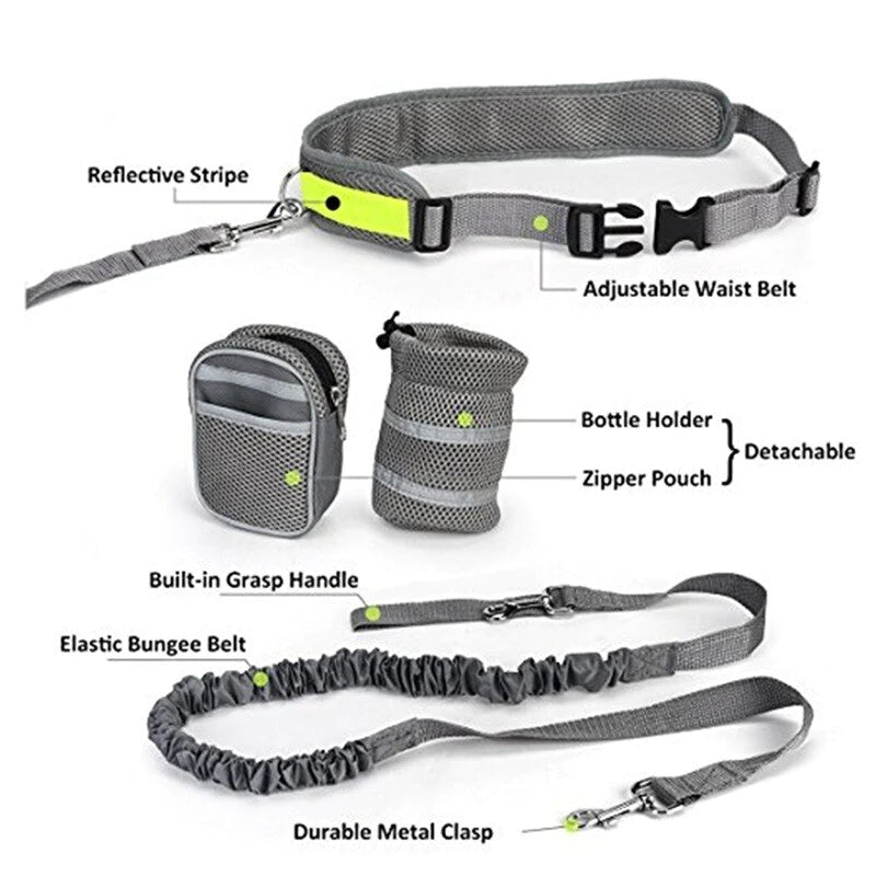 Pet Cat Elastic Reflective Belt Running Jogging Leash Set Leash Collar Pet Accessories Puppy Harness Walking Training