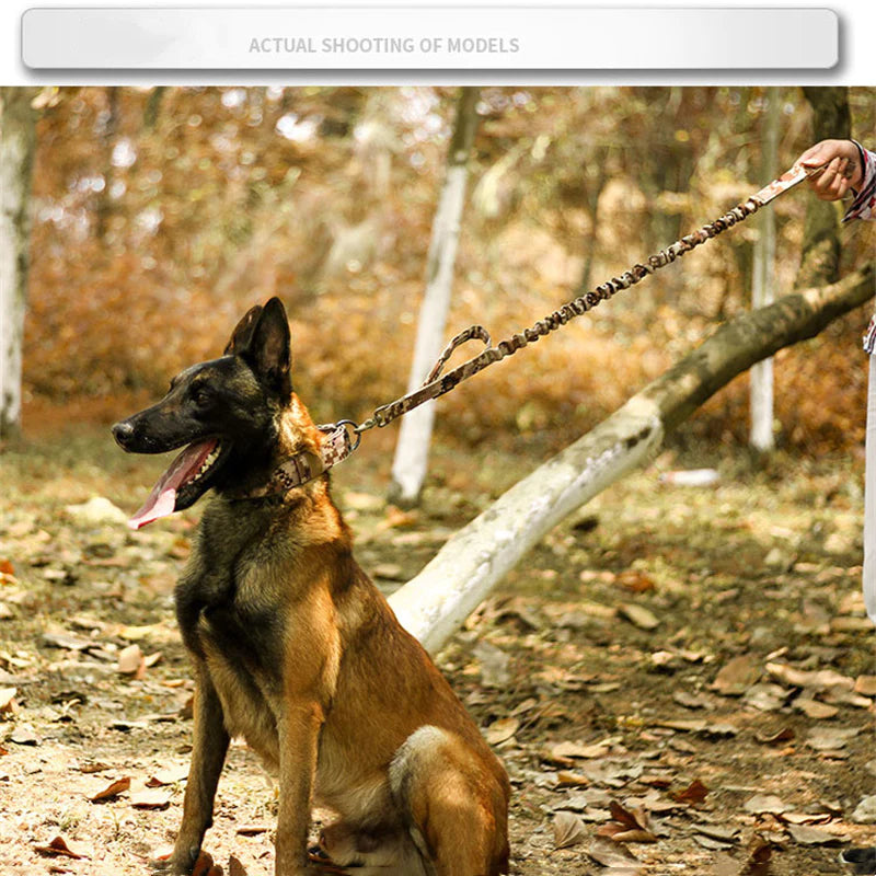 Tactical Heavy Duty Nylon Large Dog Collar K9 Military with Adjustable Metal Buckle