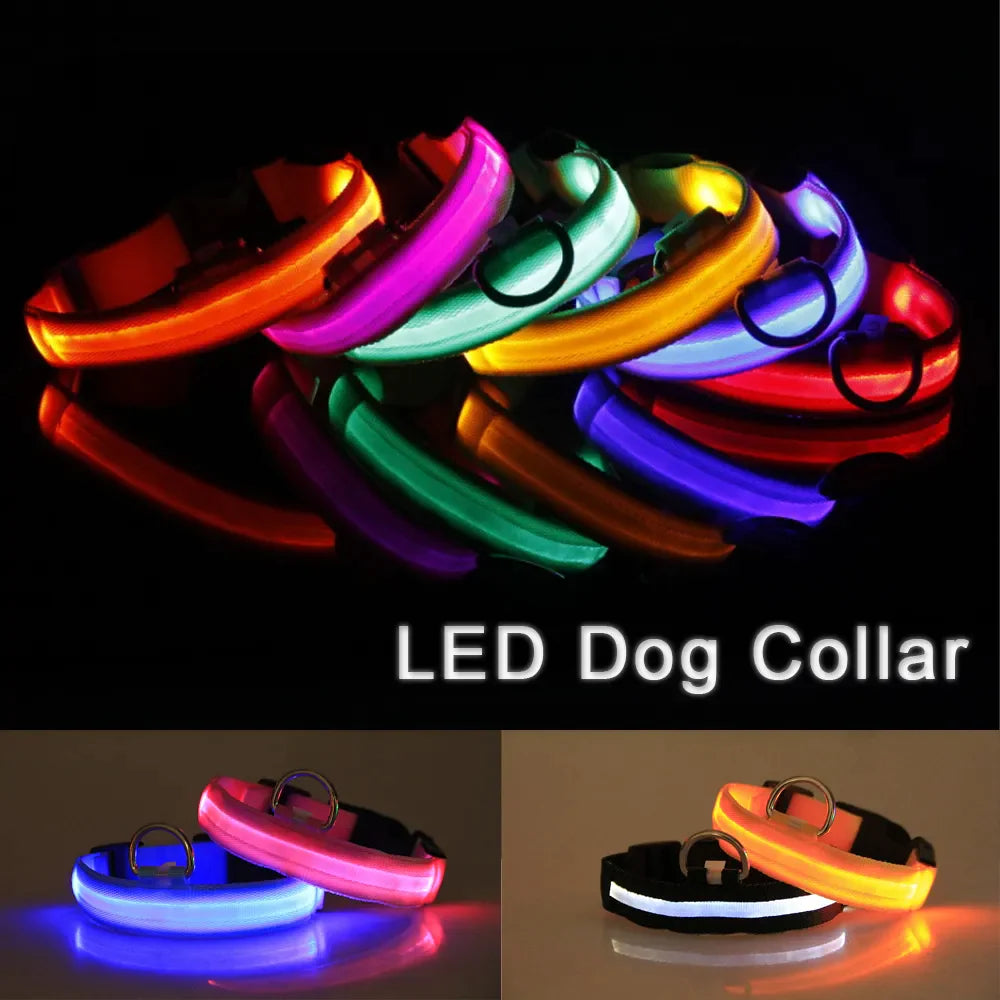 LED Adjustable Waterproof Safety Dog Collar with Blinking Glow Light