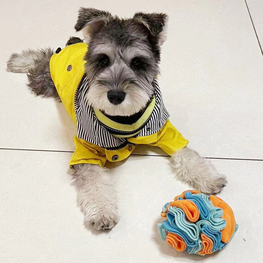 Snuffle Ball Dog Puzzle Toys Increase IQ Slow Dispensing Feeder Pet Training Games Feeding Feeding Food Intelligence Toy