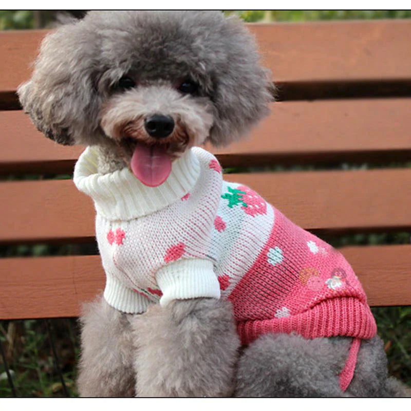Warm Dog Clothes for Small Medium Dogs Knitted Sweater Pet Clothing for Chihuahua Bulldogs Puppy Costume Coat Winter