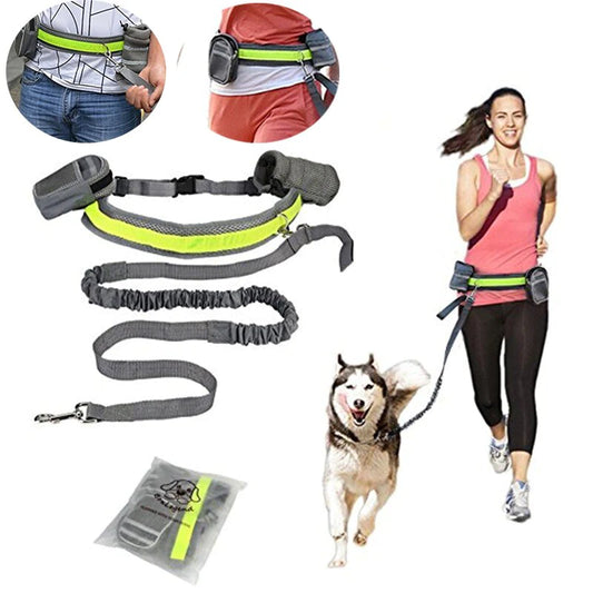 Pet Cat Elastic Reflective Belt Running Jogging Leash Set Leash Collar Pet Accessories Puppy Harness Walking Training