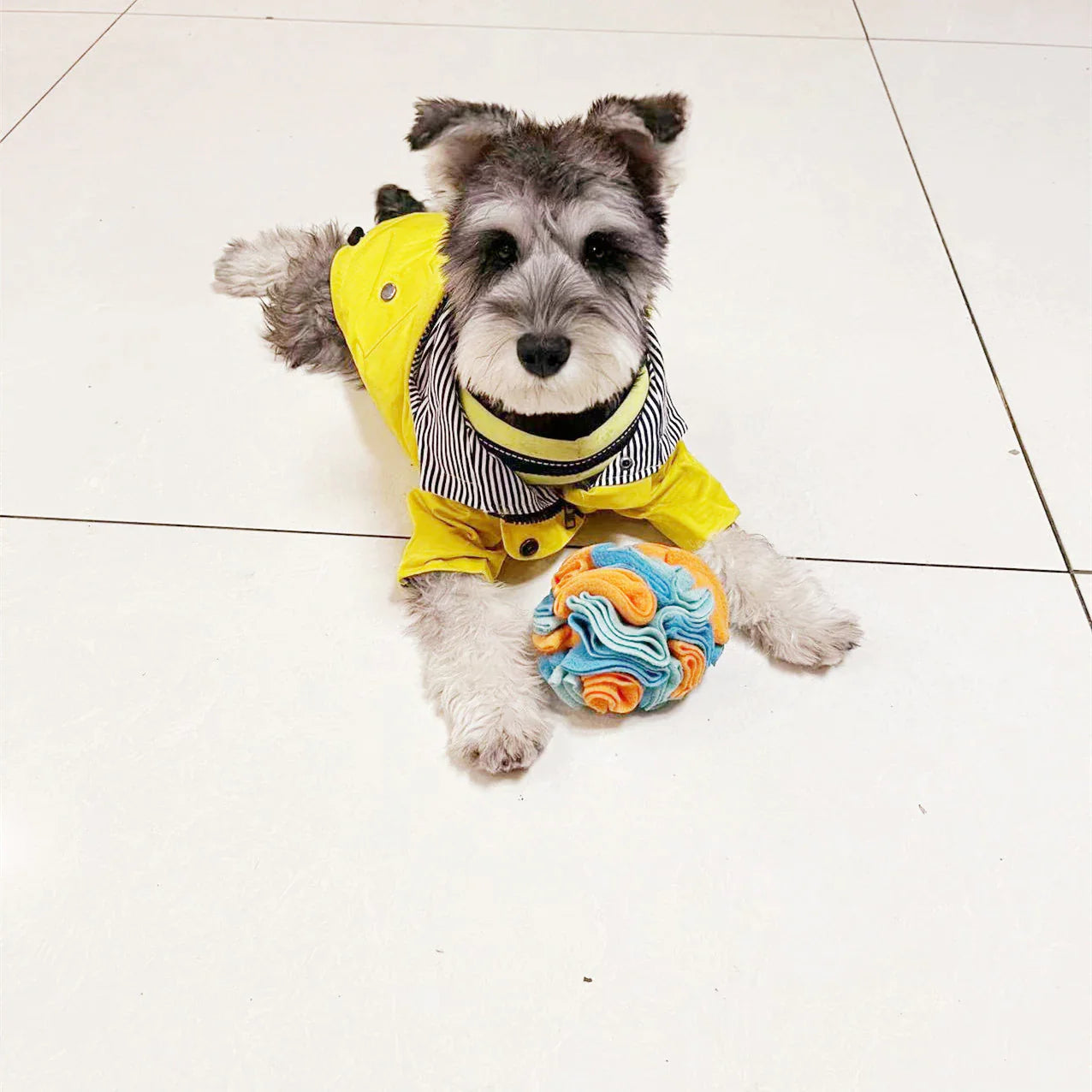 Snuffle Ball Dog Puzzle Toys Increase IQ Slow Dispensing Feeder Pet Training Games Feeding Feeding Food Intelligence Toy
