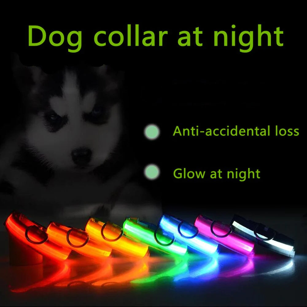 LED Adjustable Waterproof Safety Dog Collar with Blinking Glow Light