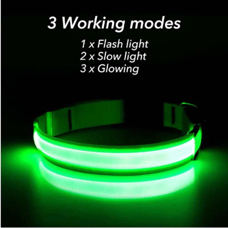 LED Adjustable Waterproof Safety Dog Collar with Blinking Glow Light