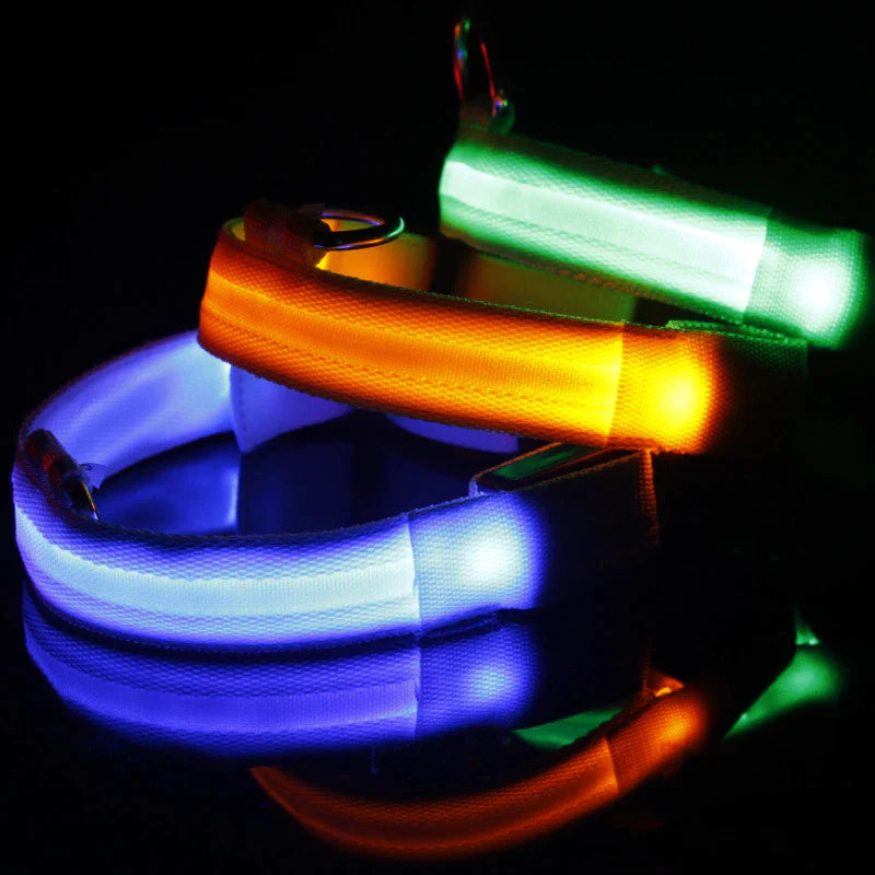 LED Adjustable Waterproof Safety Dog Collar with Blinking Glow Light
