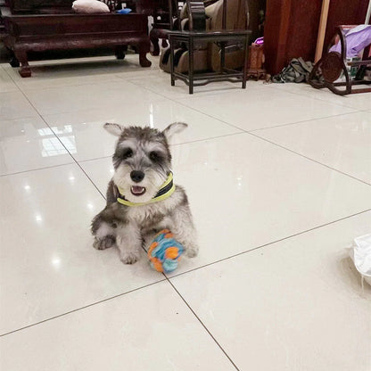 Snuffle Ball Dog Puzzle Toys Increase IQ Slow Dispensing Feeder Pet Training Games Feeding Feeding Food Intelligence Toy