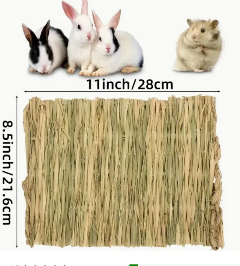 Pet Cushion