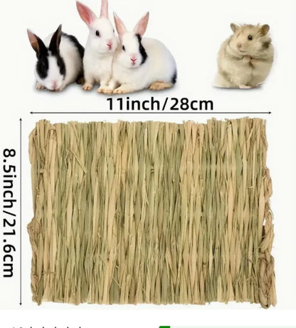 Pet Cushion