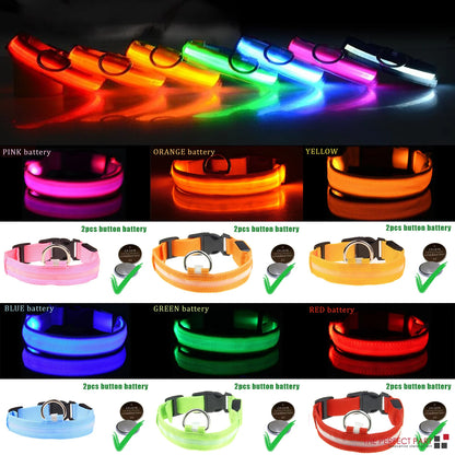 LED Adjustable Waterproof Safety Dog Collar with Blinking Glow Light