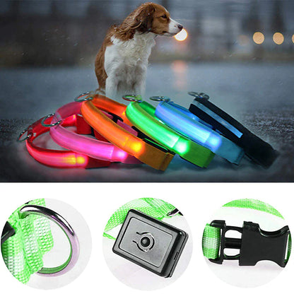 LED Adjustable Waterproof Safety Dog Collar with Blinking Glow Light