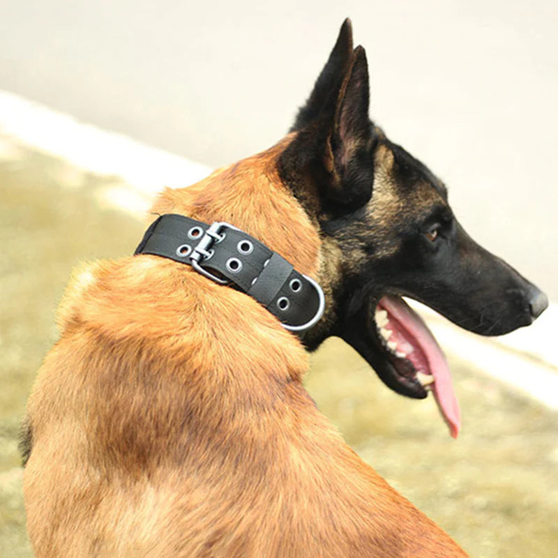 Tactical Heavy Duty Nylon Large Dog Collar K9 Military with Adjustable Metal Buckle