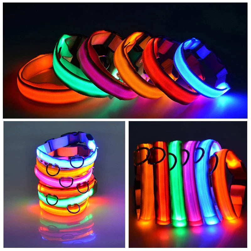 LED Adjustable Waterproof Safety Dog Collar with Blinking Glow Light