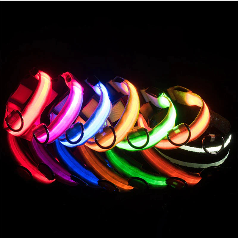 LED Adjustable Waterproof Safety Dog Collar with Blinking Glow Light