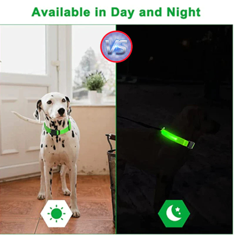 LED Adjustable Waterproof Safety Dog Collar with Blinking Glow Light