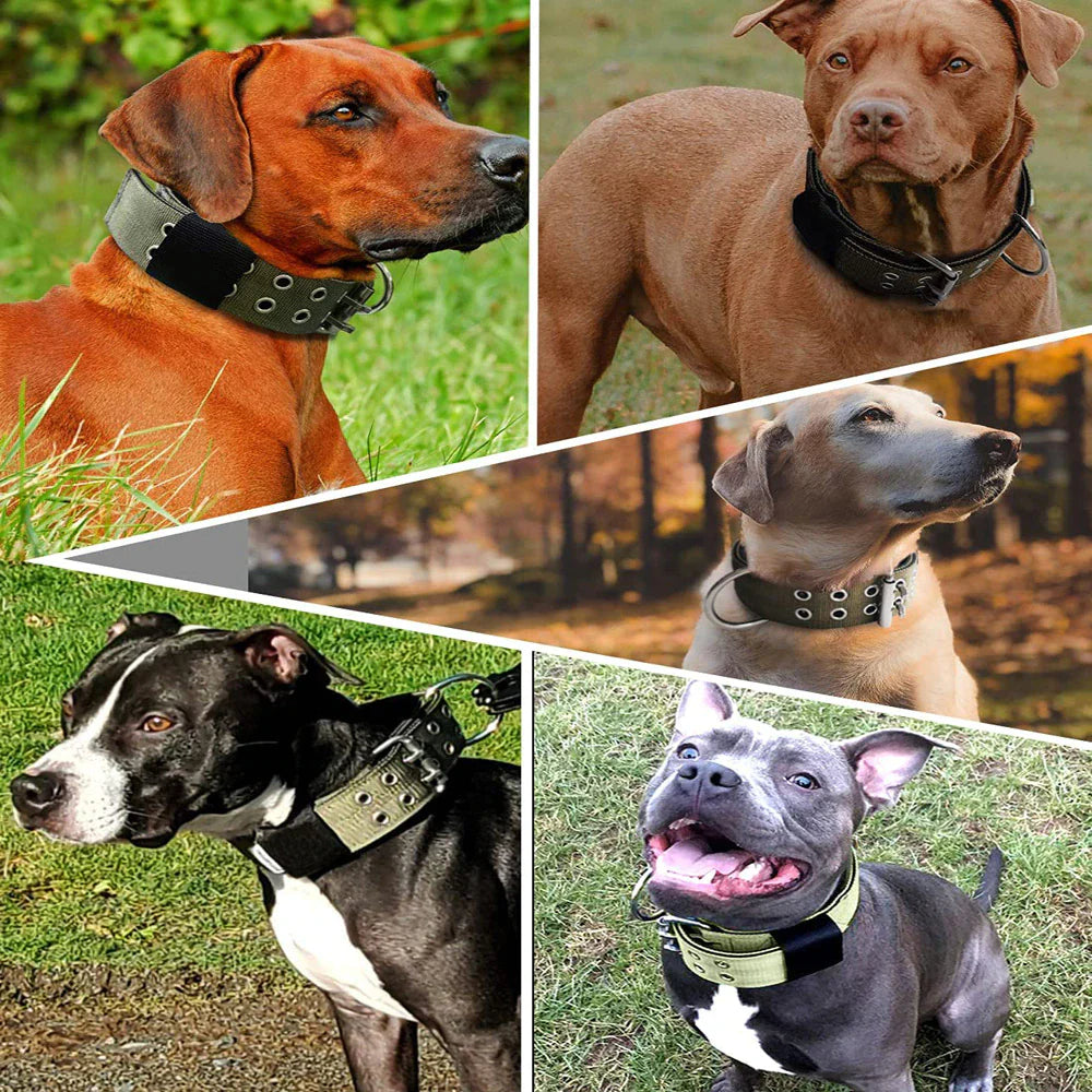 Tactical Heavy Duty Nylon Large Dog Collar K9 Military with Adjustable Metal Buckle