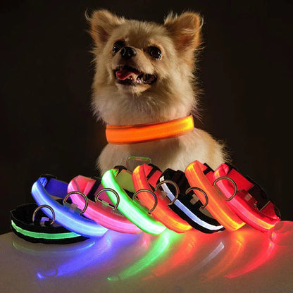 LED Adjustable Waterproof Safety Dog Collar with Blinking Glow Light